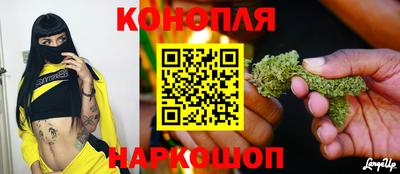 индика Канаш