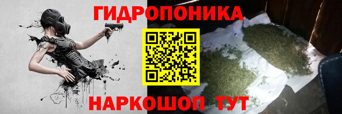 Канабис планчик Комсомольск-на-Амуре